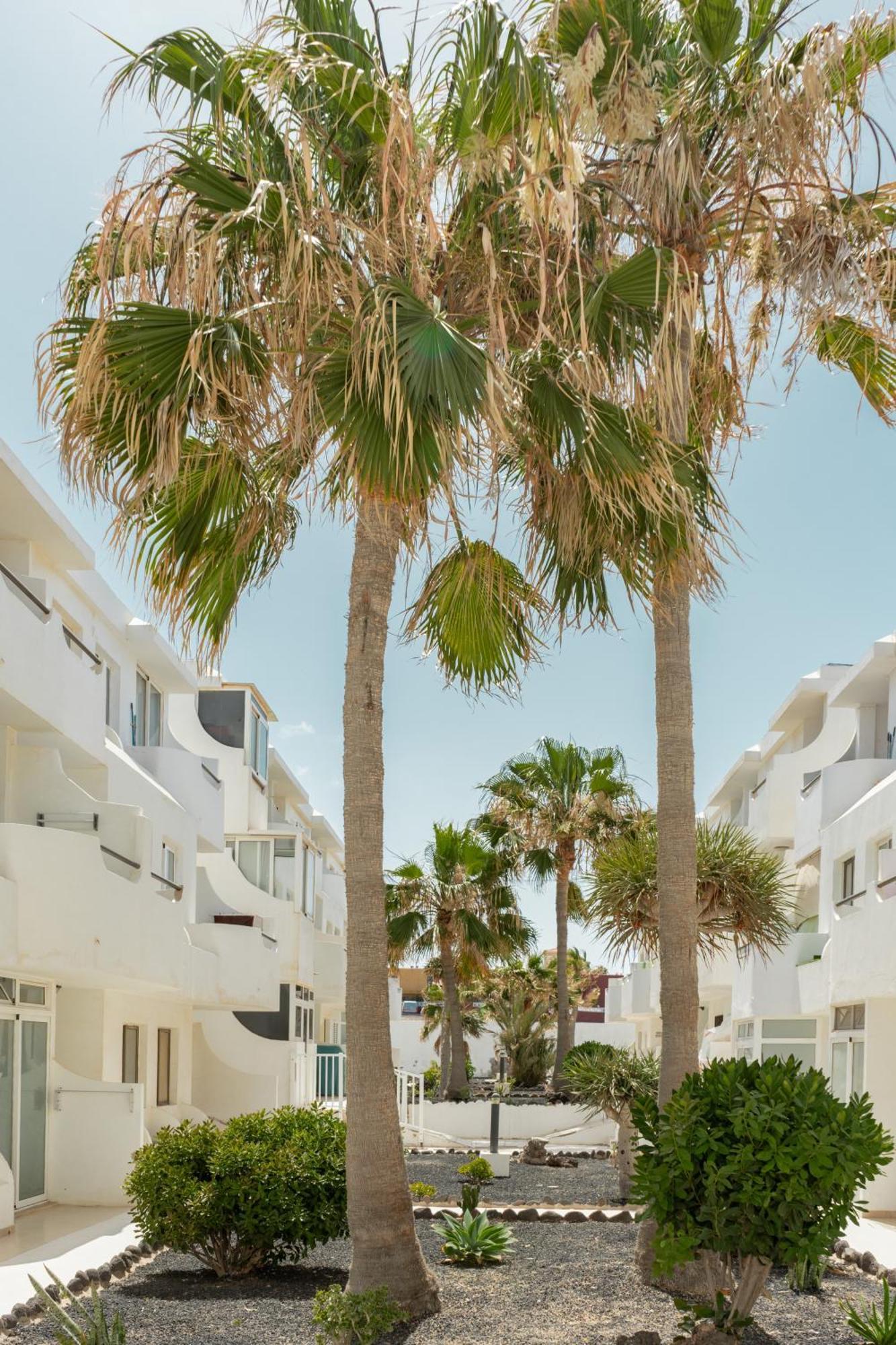 Casa Maja Lejlighed Costa De Antigua Eksteriør billede